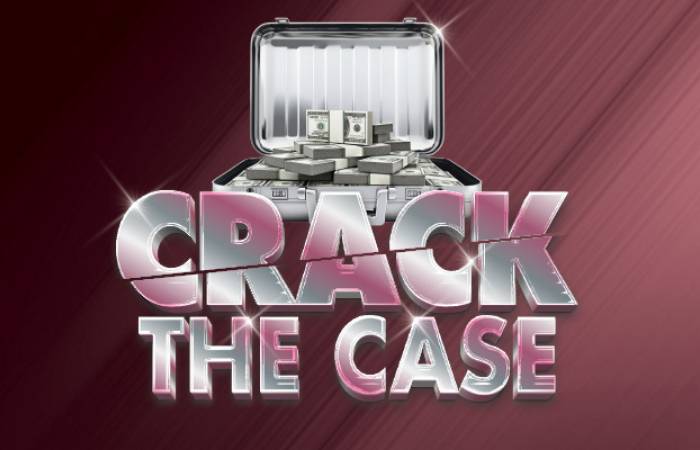 Crack the Case